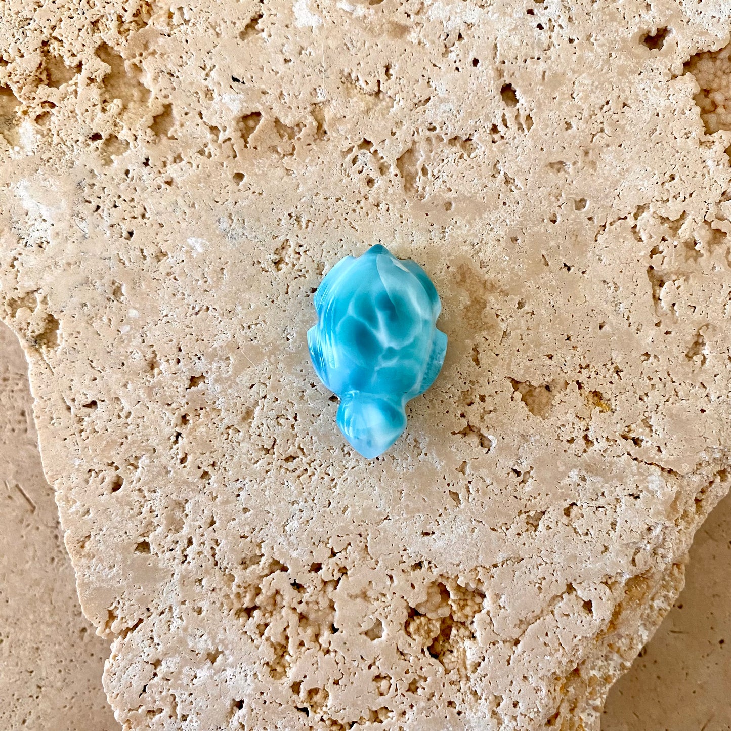 Larimar Turtle