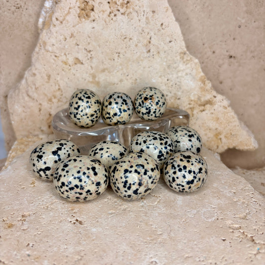 Dalmatian Jasper Tumble