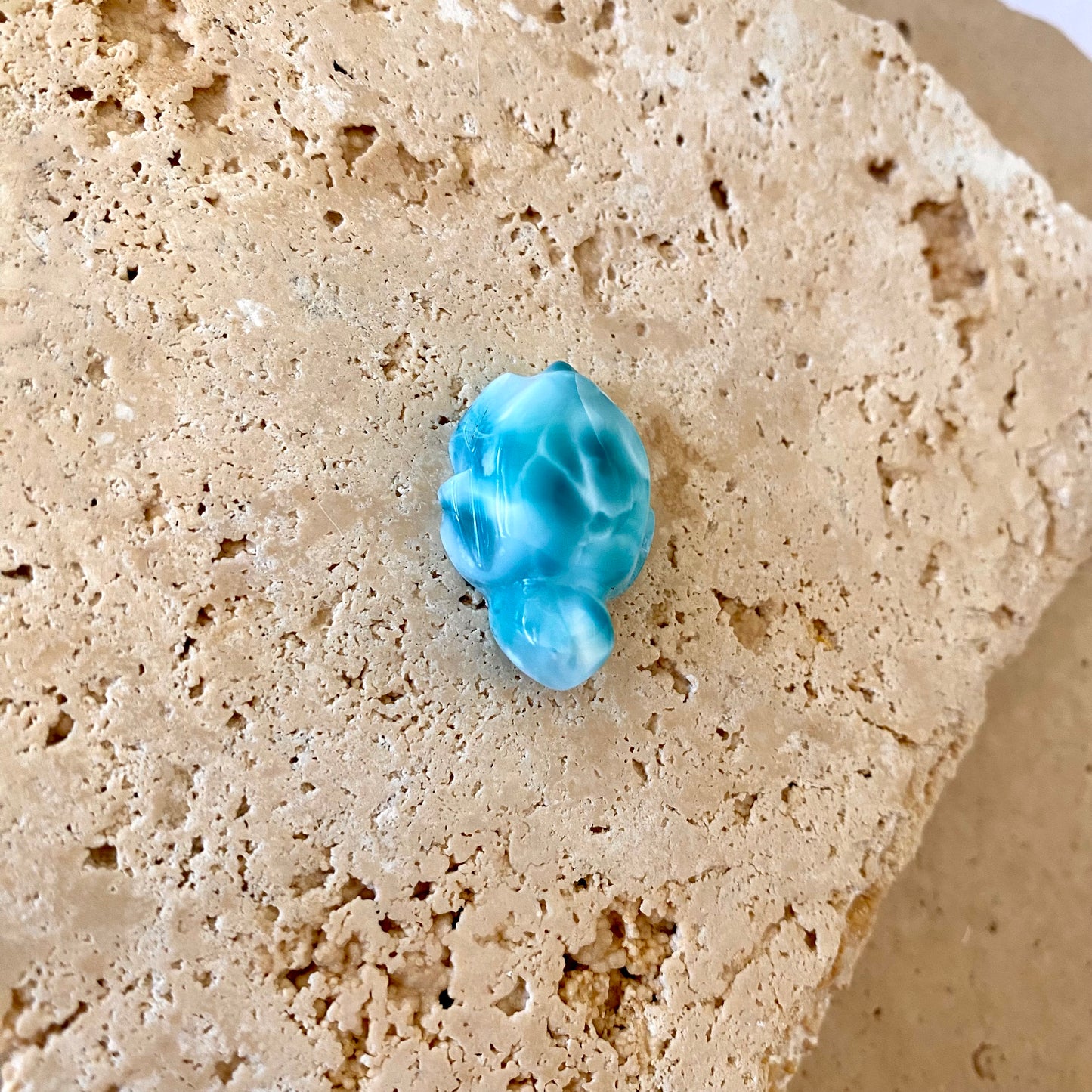 Larimar Turtle